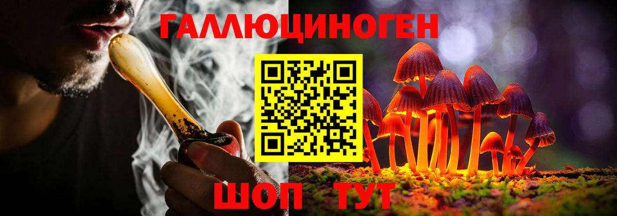 Каспийск  Псилоцибиновые грибы Psilocybine cubensis  где купить наркоту  Вход с VPN 